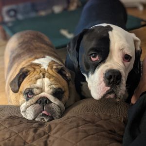 Meet your Posher, Mark